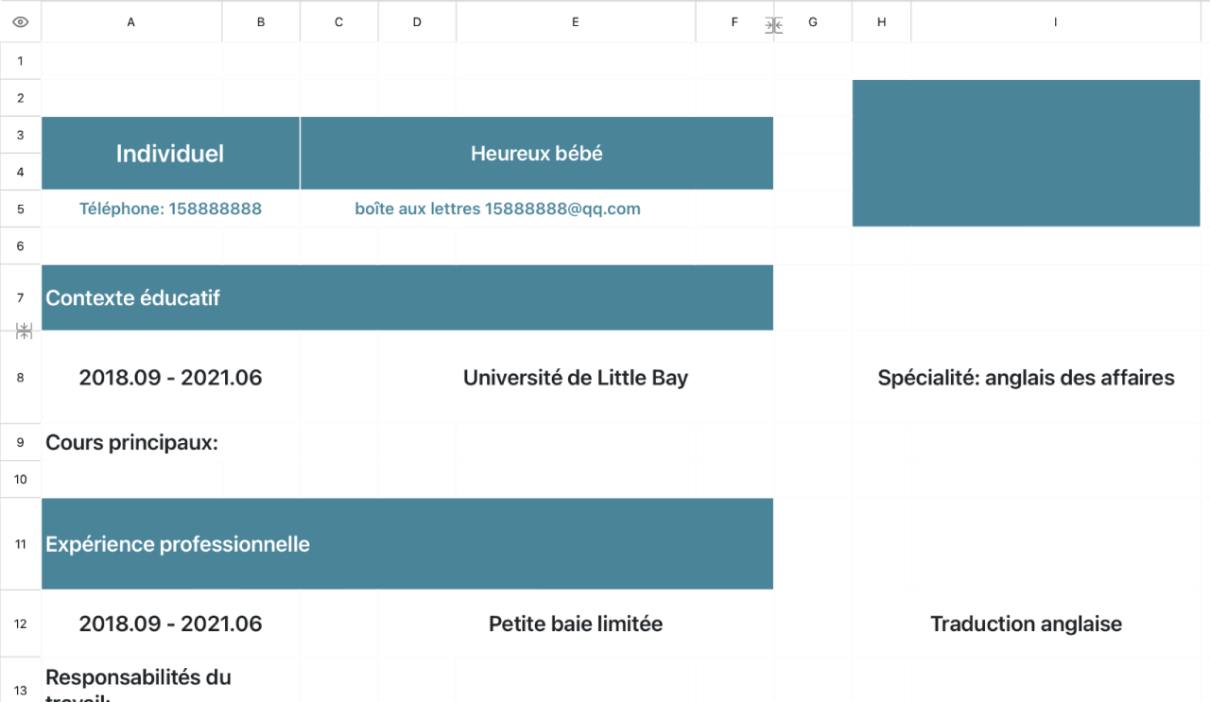 CV recherche d'emploi mode